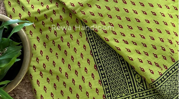 Bagh Print Silk Sarees