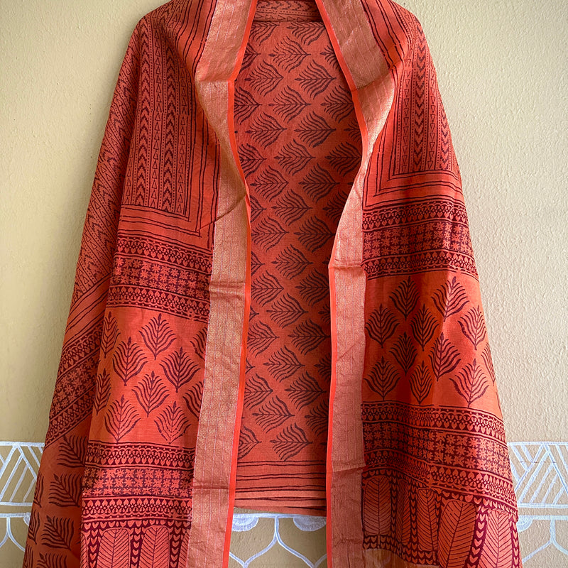 Maheshwari Tissue Bagh Print Suit