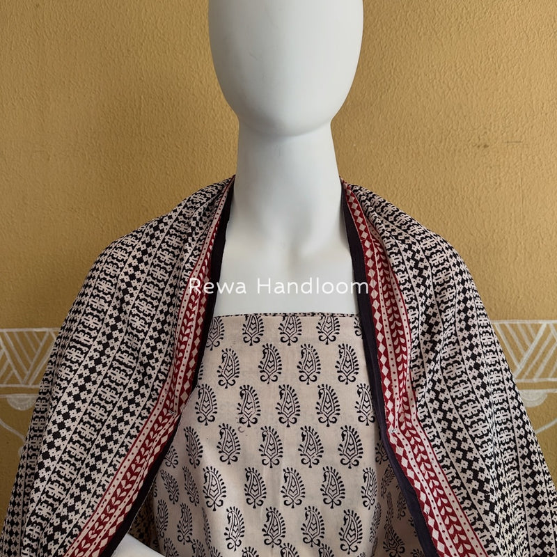 White-Black Bagh Print Cotton Suit BGCSJ0169