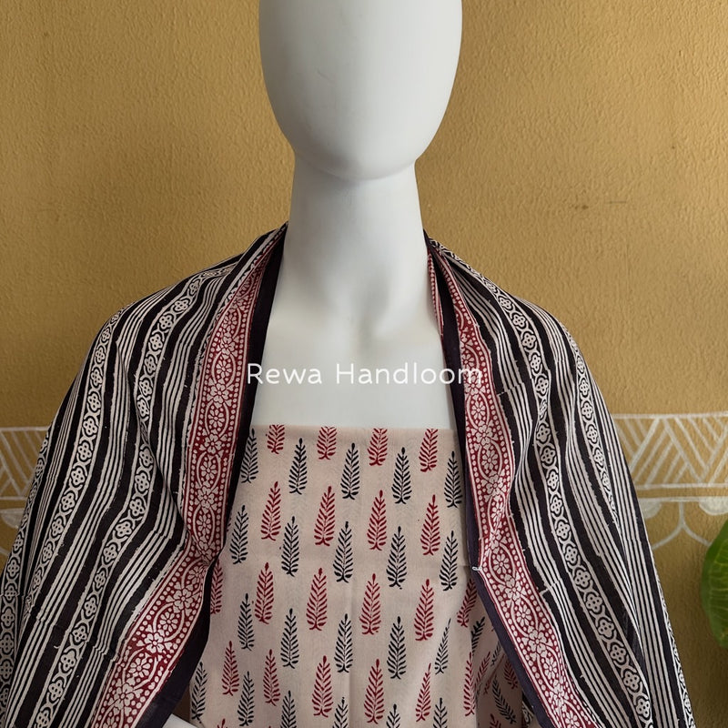 White-Black Bagh Print Cotton Suit BGCSJ0216