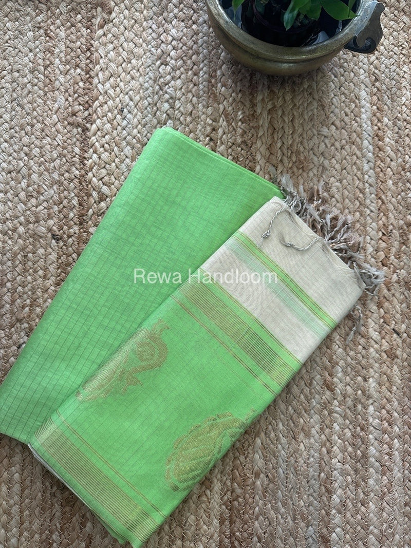 Maheshwari Pista Green-Off White Motifs Top-Dupatta Set MS09