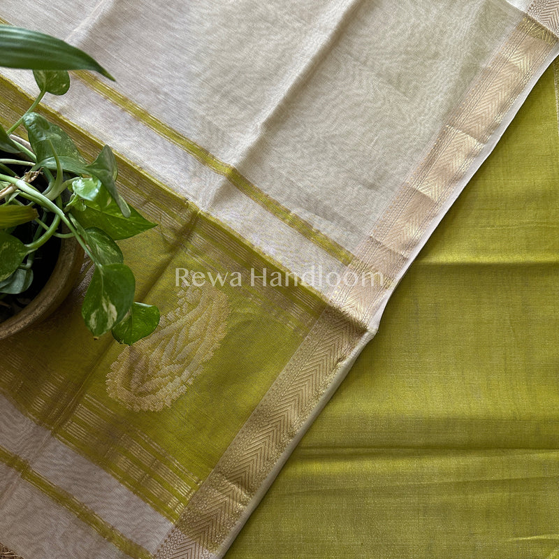 Maheshwari Green-Off White Tissue Buta Dress Material TPT024