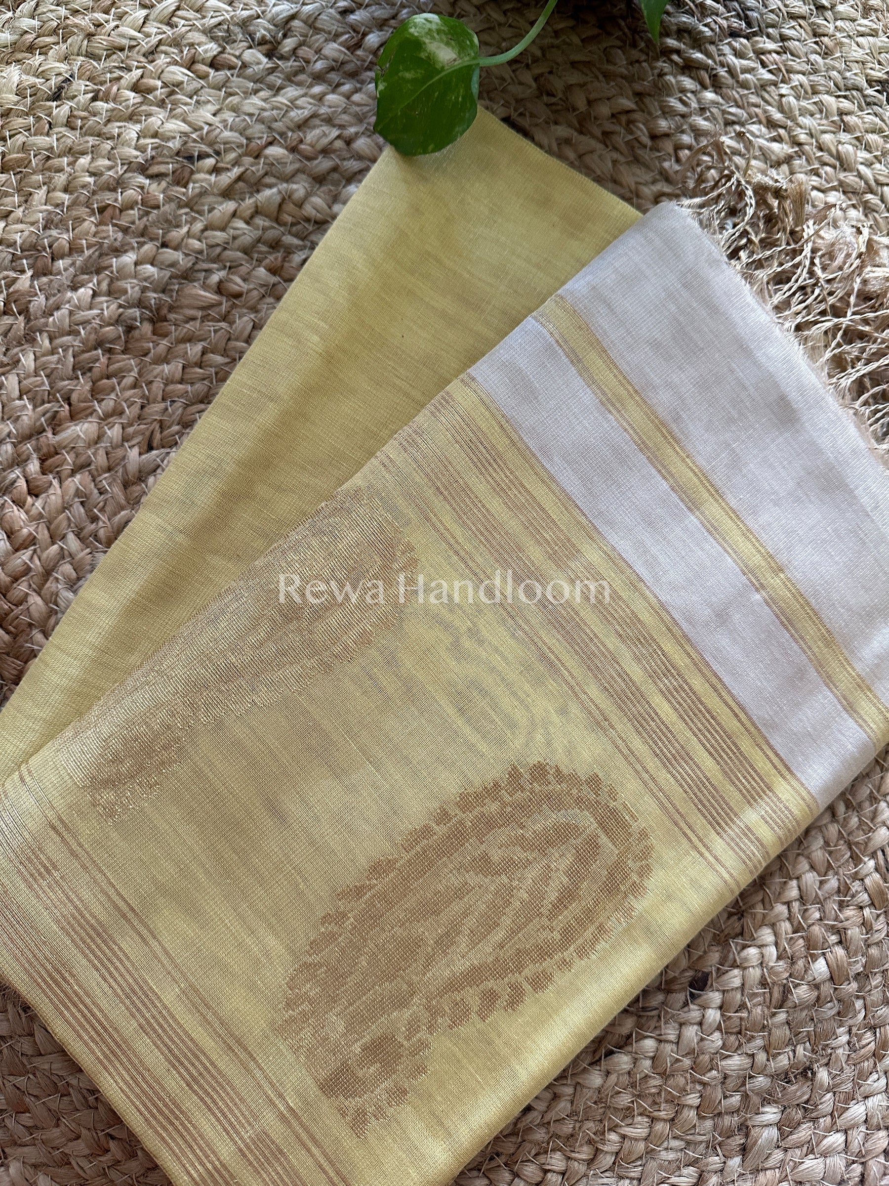 Maheshwari Tissue Buta Dress Material