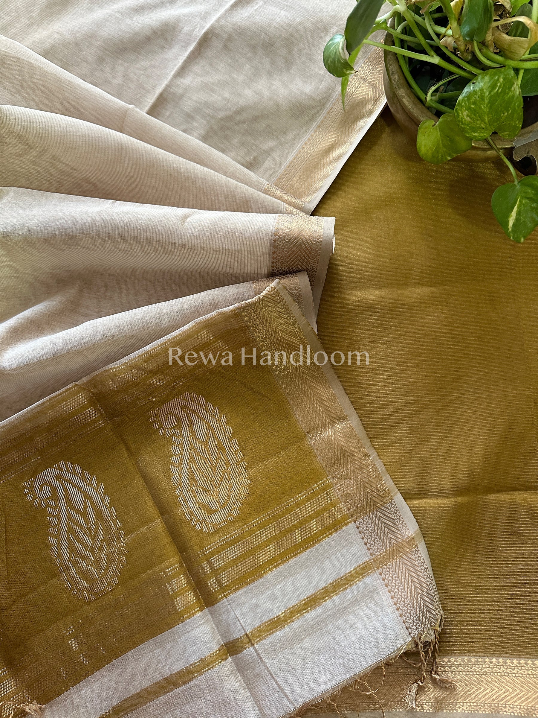 Maheshwari Golden Yellow-Off White Tissue Buta Dress Material-TPT34