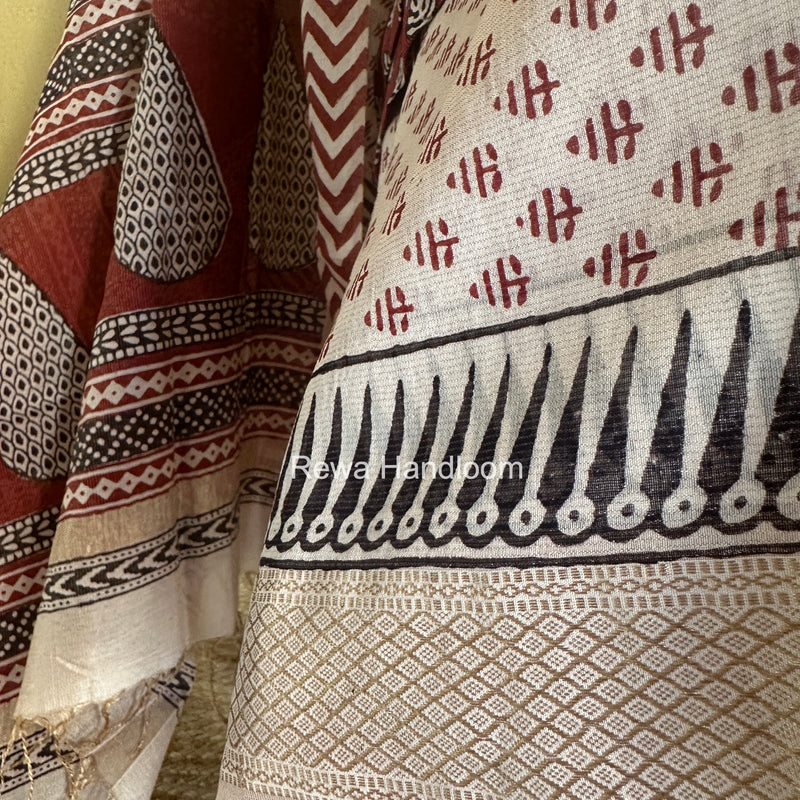 Bagh Print Tissue Suit