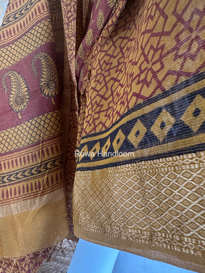 Bagh Print Tissue Suit