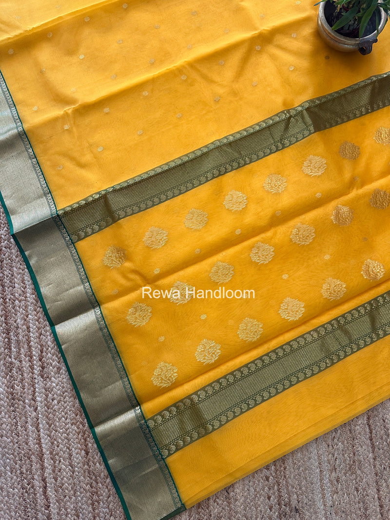 Mango Yellow Chanderi Katan Silk Nakshi Border Saree CKS02