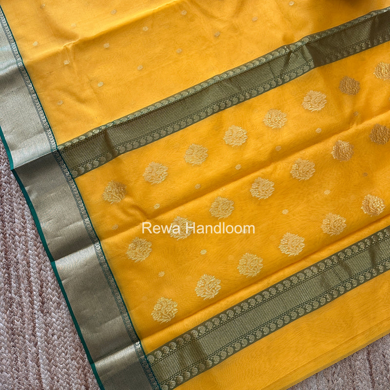 Mango Yellow Chanderi Katan Silk Nakshi Border Saree CKS02
