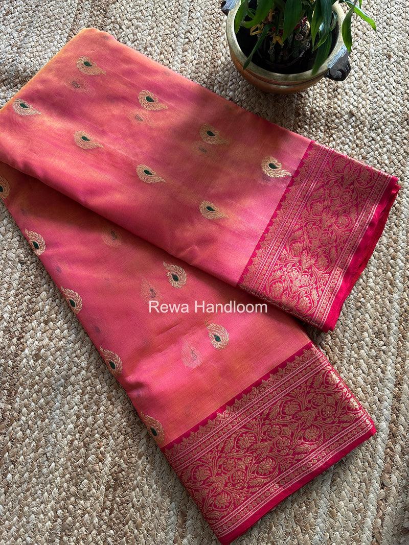 Chanderi Katan Silk Nakshi Border Saree