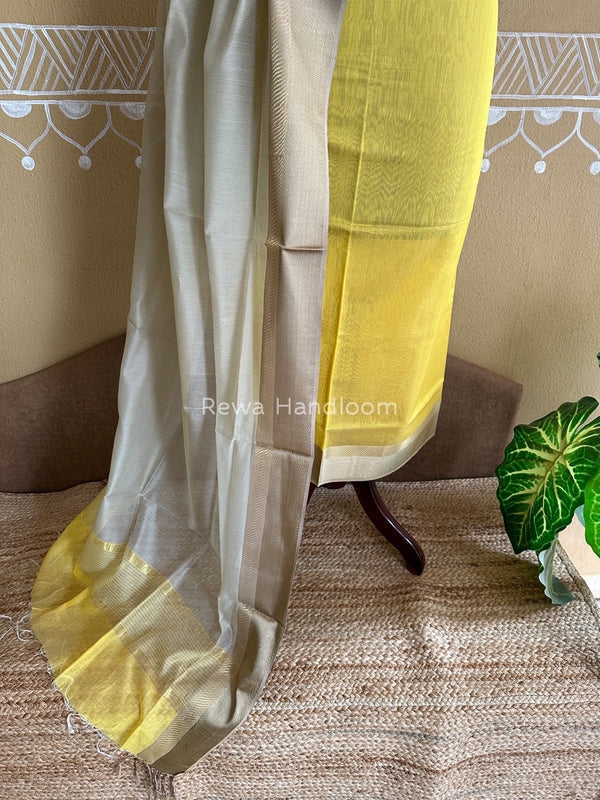  Resham Border Dress Material