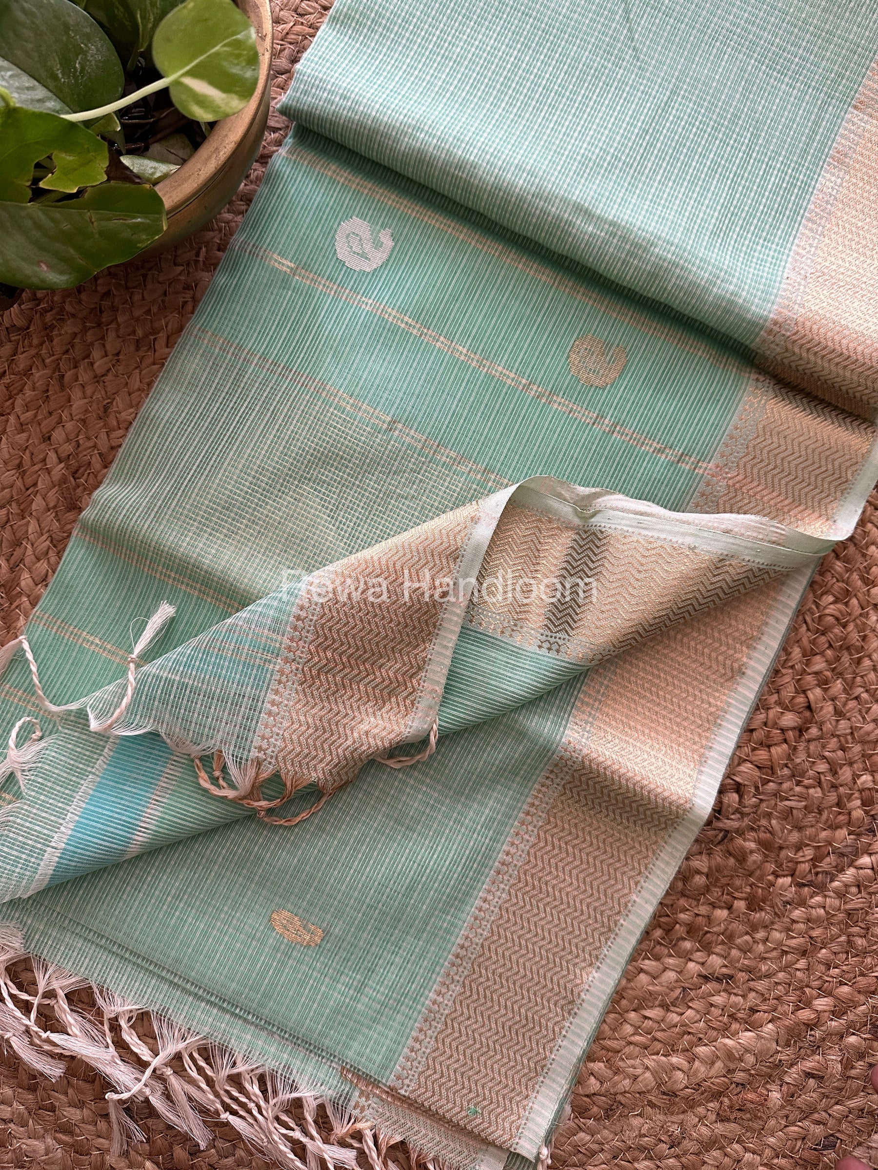 Sea Green Zari Butti ~ Maheshwari Saree-KJS04