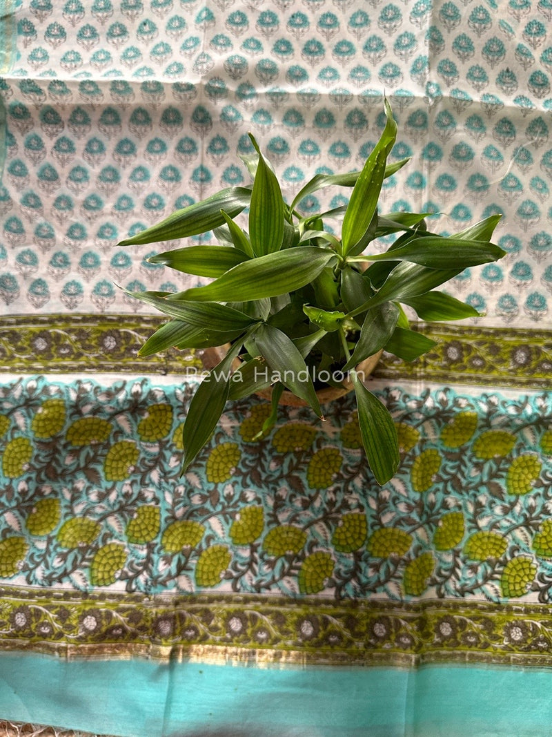 Maheshwari Sea Green Hand Block Printed Dupatta HD015