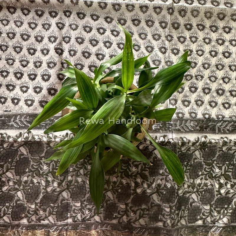 Maheshwari Grey Hand Block Printed Dupatta HD013