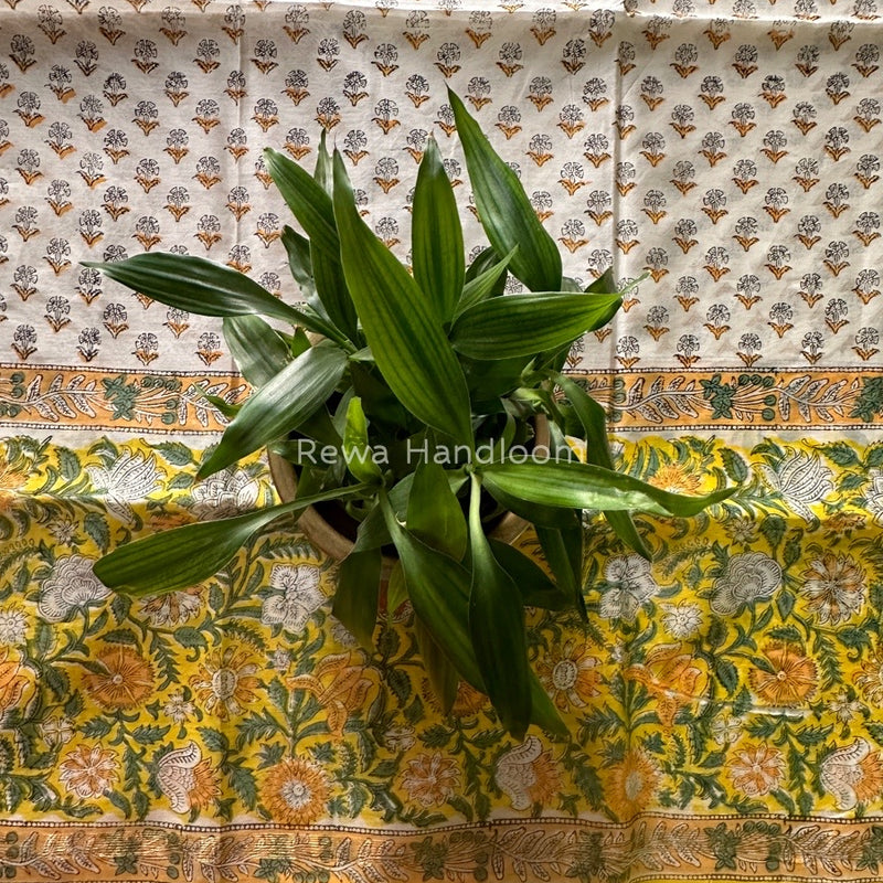 Maheshwari Yellow Hand Block Printed Dupatta HD02