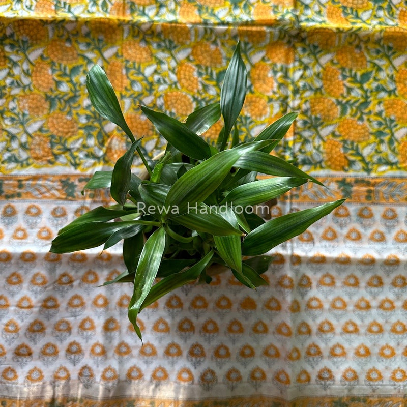 Maheshwari Yellow Hand Block Printed Dupatta HD016