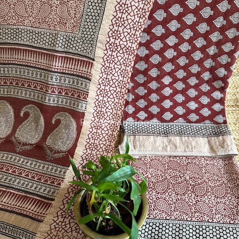Maheshwari Bagh Print Tissue Suit