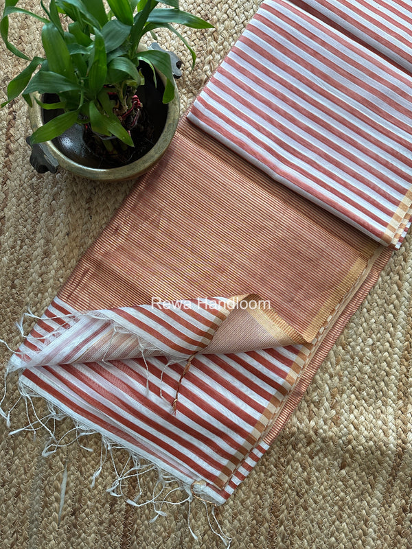 Exclusive Maheshwari Saree