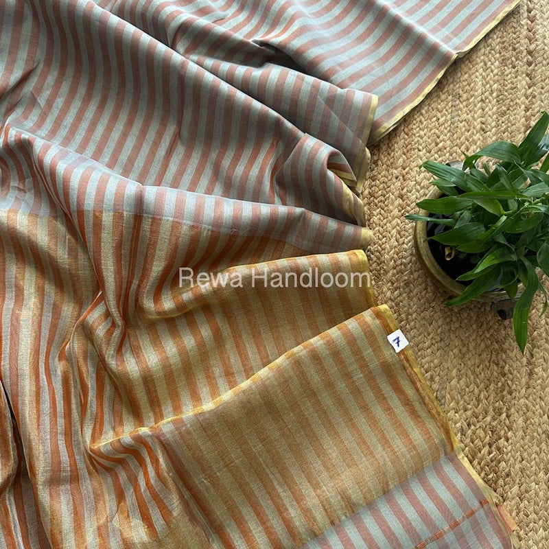 Exclusive Maheshwari Tissue Silk Saree