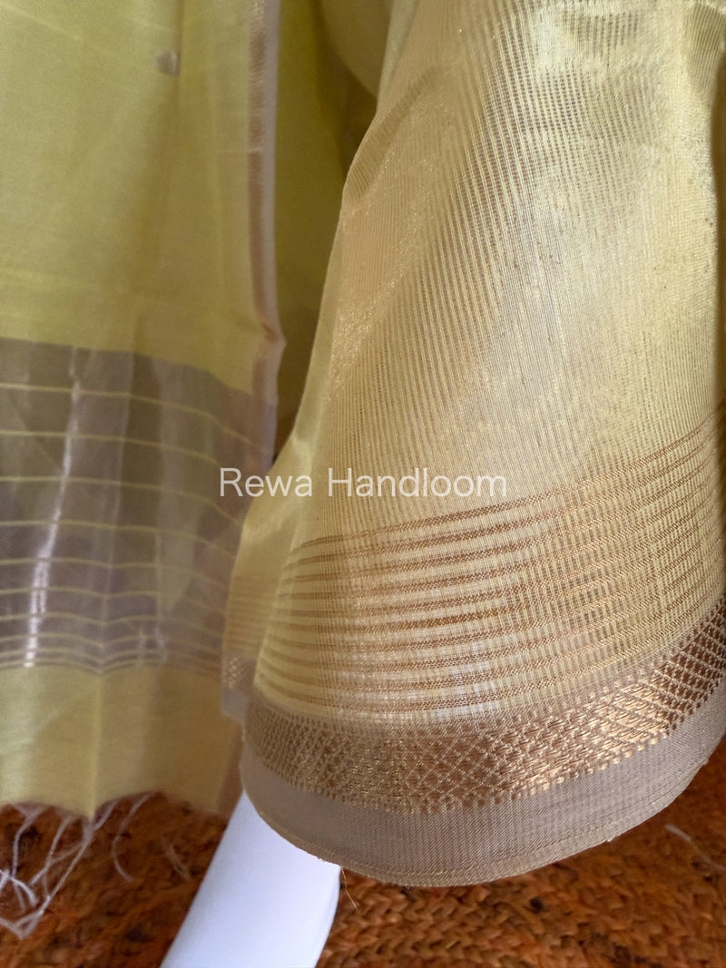 Maheshwari Tissue Dress Material