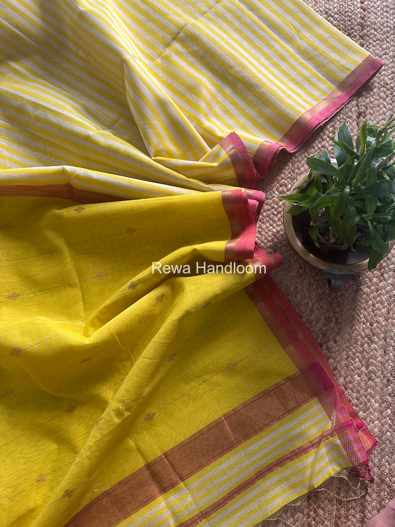 Exclusive Maheshwari Yellow Checks Saree CLBS07