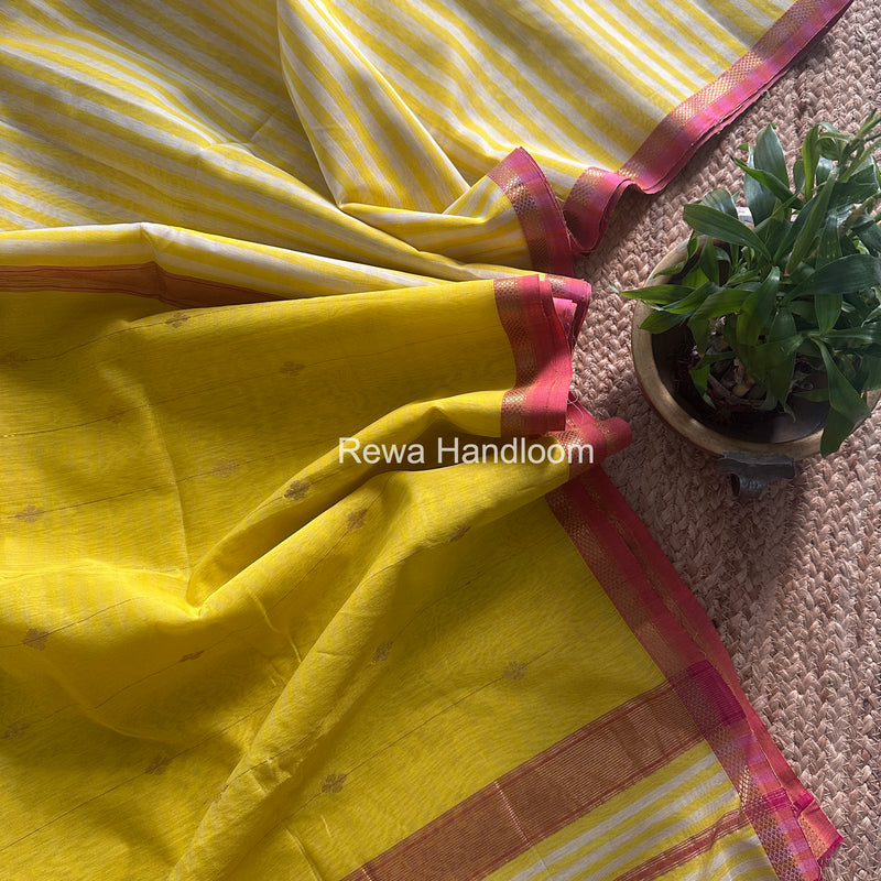 Exclusive Maheshwari Yellow Checks Saree CLBS07