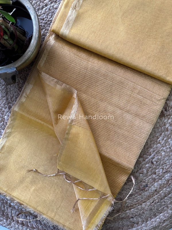 Maheshwari Tissue Saree