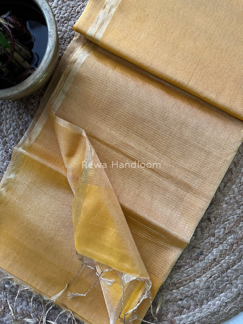 Maheshwari Tissue Saree