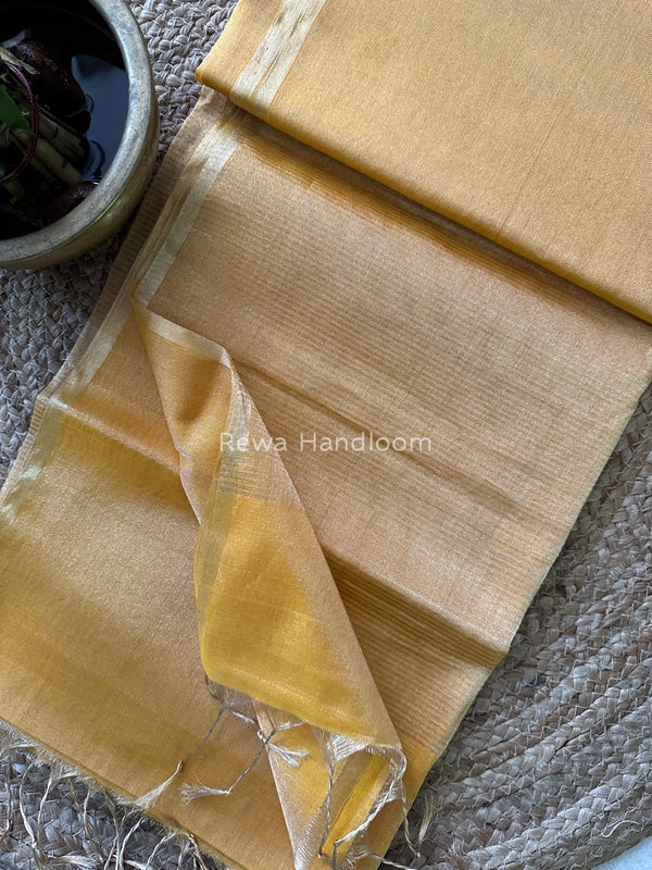 Maheshwari Tissue Saree