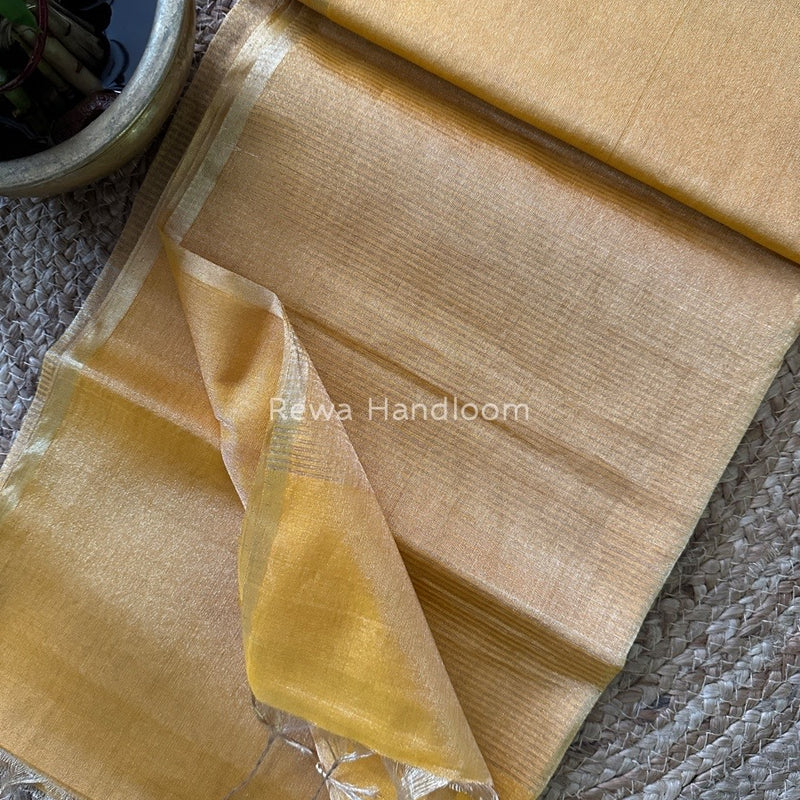 Maheshwari Tissue Saree