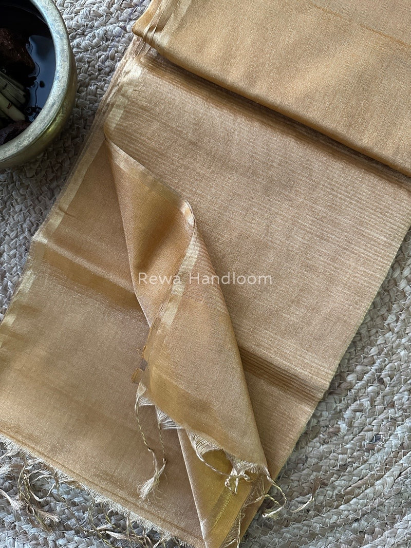 Maheshwari Tissue Saree