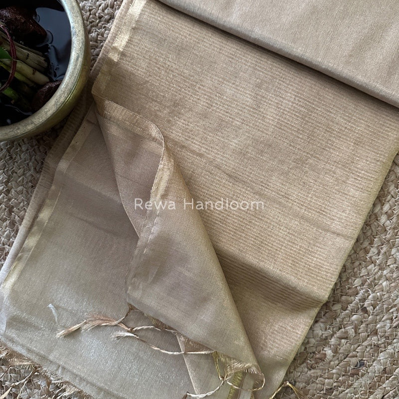 Maheshwari Tissue Saree
