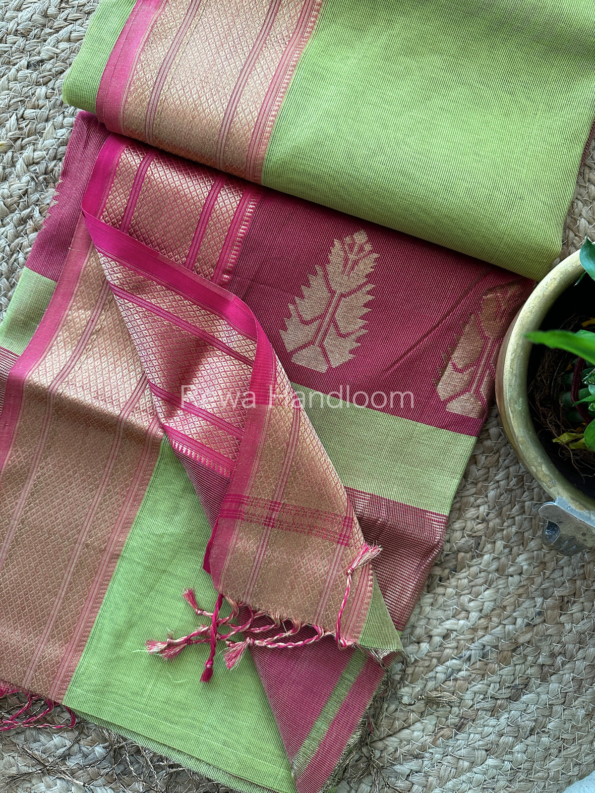 Maheshwari Parrot Green Tissue Silk Saree-TBS06