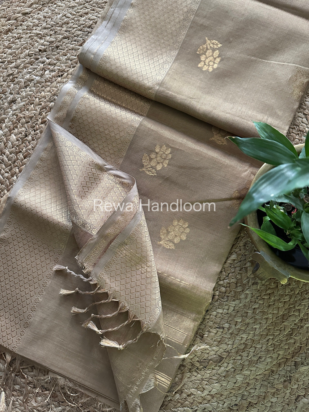 Maheshwari Beige Tissue Silk Saree-TFB012