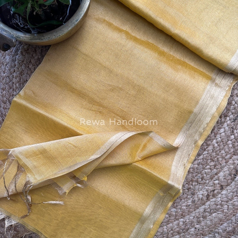Maheshwari Tissue Saree