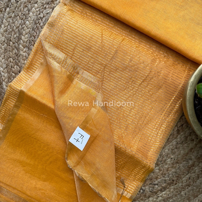 Maheshwari Tissue Saree