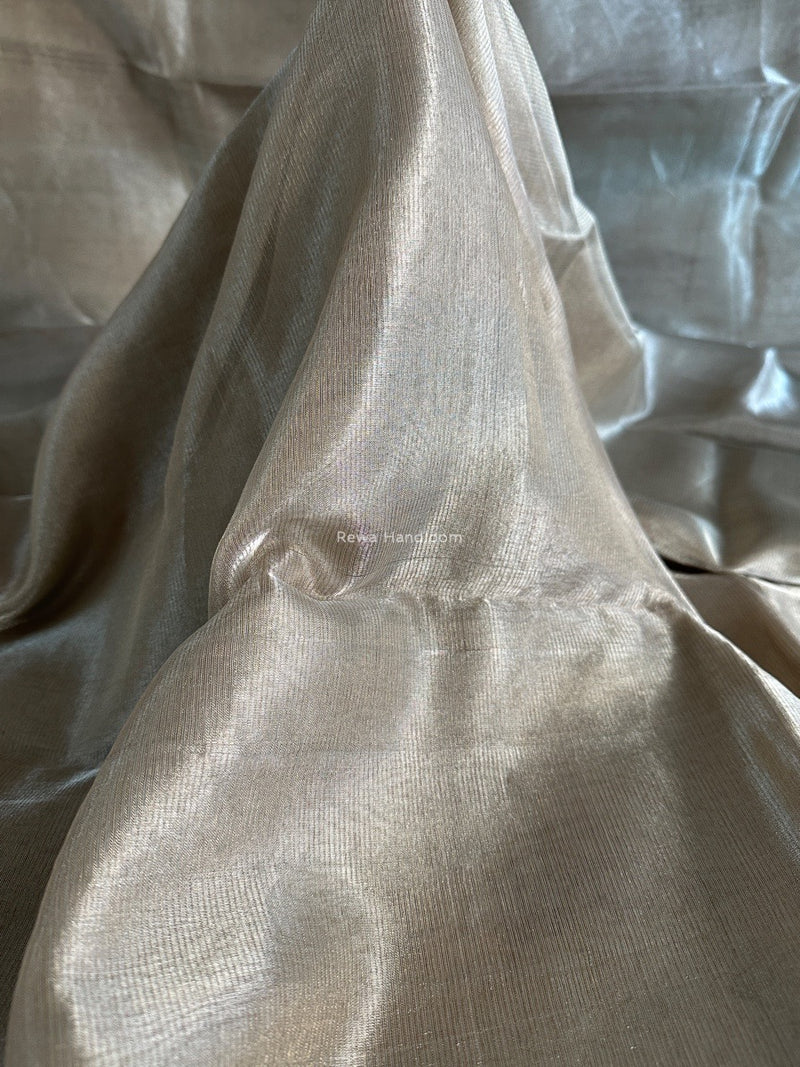Maheshwari off white Tissue Silk Fabric 2.5 meters Cut - FBT015