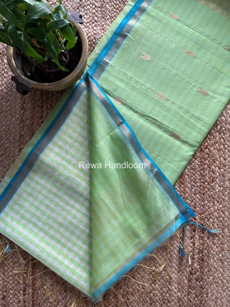 Exclusive Maheshwari Pista Checks Saree CLBS09