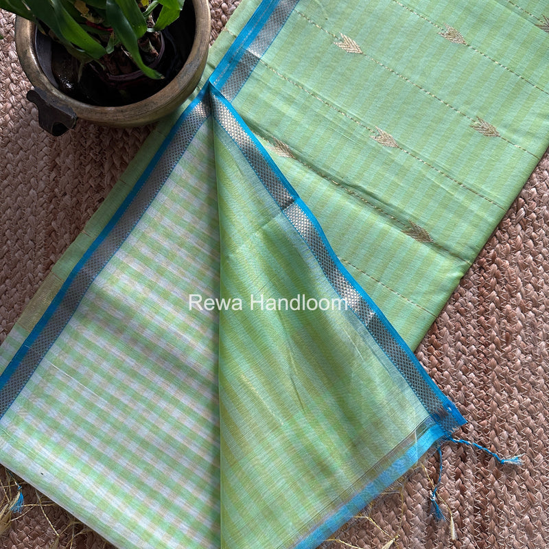 Exclusive Maheshwari Pista Checks Saree CLBS09
