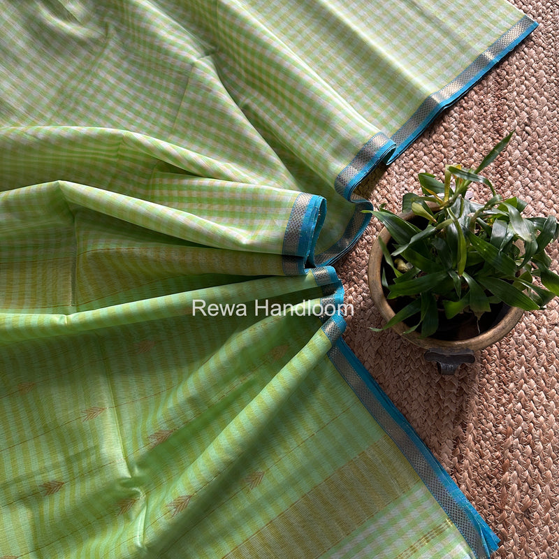 Exclusive Maheshwari Pista Checks Saree CLBS09
