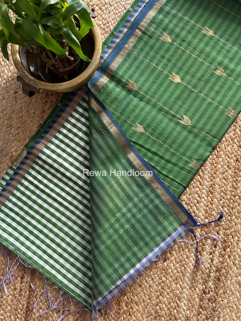 Exclusive Maheshwari Mehendi Green Checks Saree CLBS013