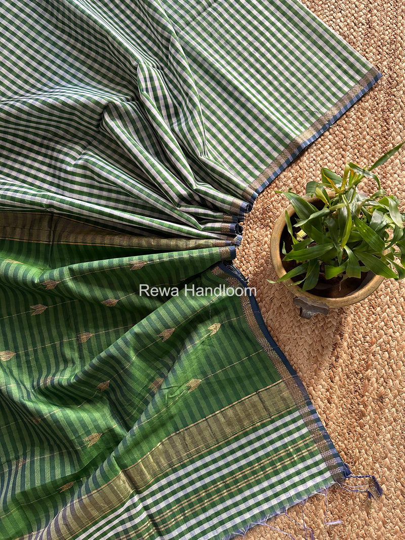 Exclusive Maheshwari Mehendi Green Checks Saree CLBS013