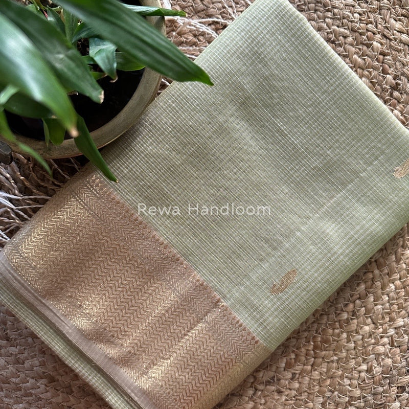 Maheshwari Light Pista Green Tissue Butti Saree TKB03
