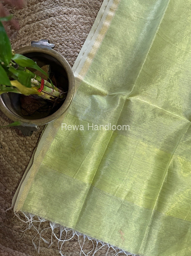 Maheshwari Parrot Green Tissue Lining Dupatta TLD05