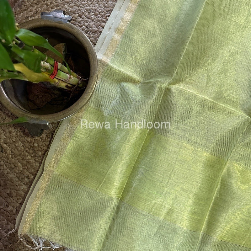 Maheshwari Parrot Green Tissue Lining Dupatta TLD05