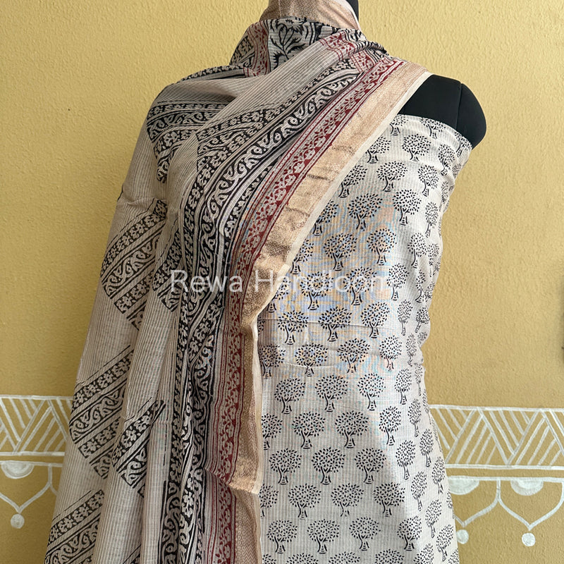 Maheshwari White-Black Bagh Print Suit BSP0105