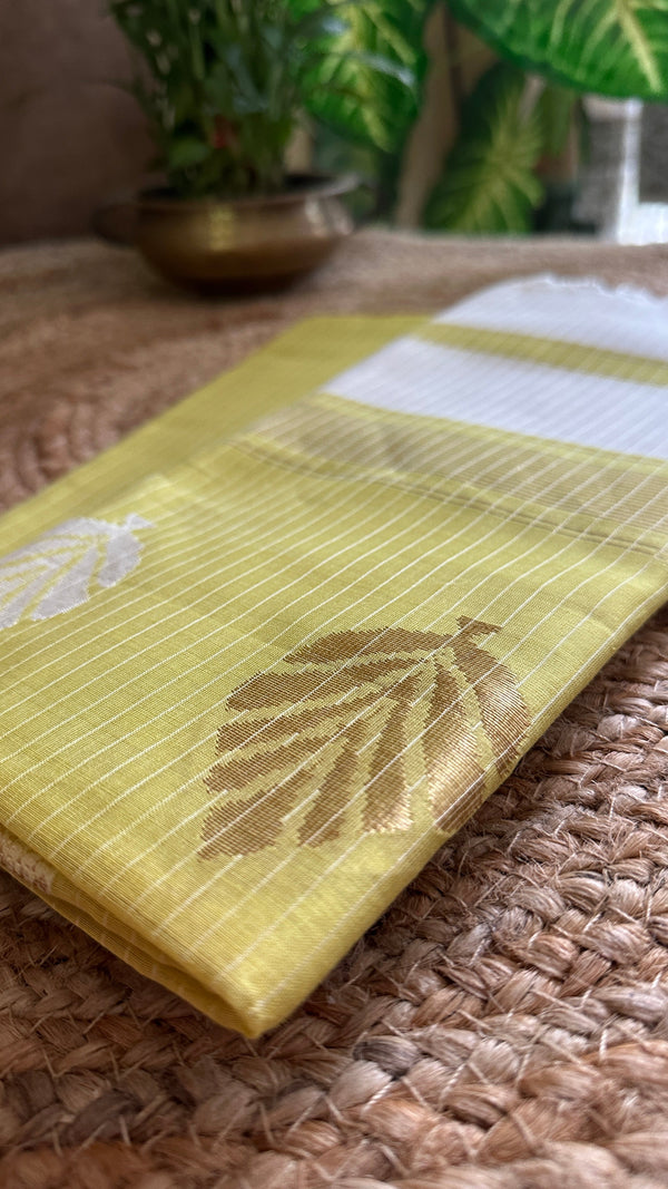 Maheshwari Light Green - White Katan Top Dupatta Sets