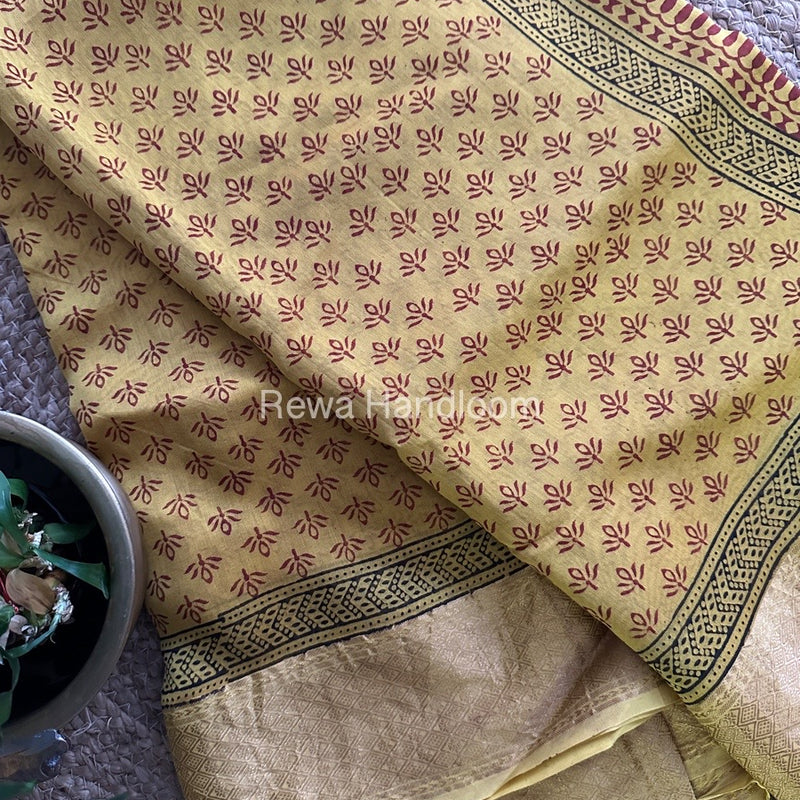 Maheshwari Bagh Print Saree