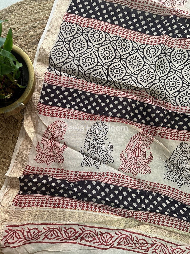 Maheshwari White Black Bagh Print Small Border Saree MTBS018