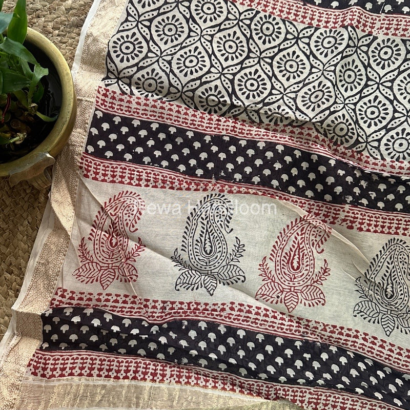 Maheshwari White Black Bagh Print Small Border Saree MTBS018