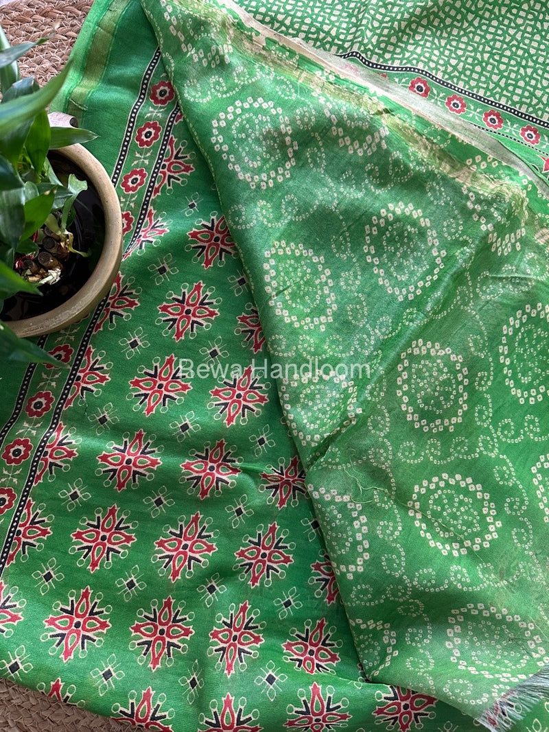 Parrot Green Chanderi Silk Saree CPS05